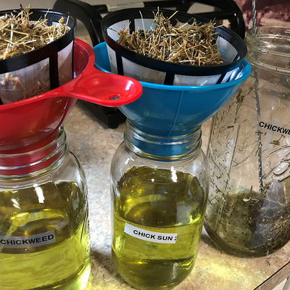 WILD CHICKWEED HERBAL SALVE  🌿