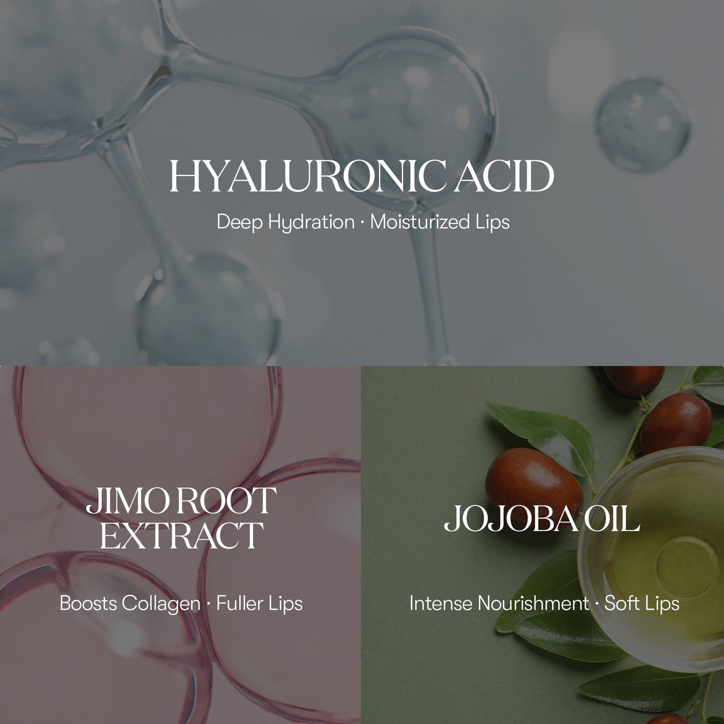 🔥60% OFF🔥LBMLBM® shot Lip Plumper-Expert