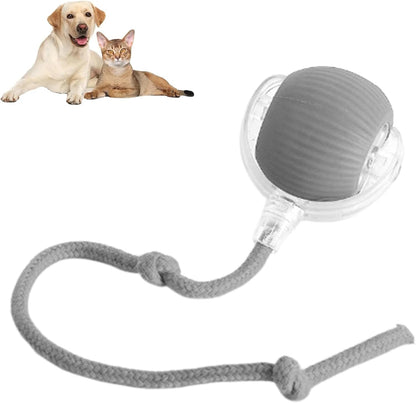 ODALIT™ smart chase pet toy ball