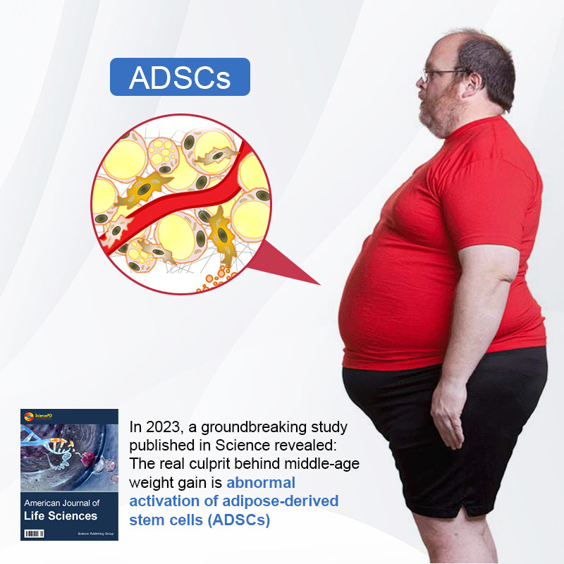 Metacurve™ Microneedle Fat-Burning Patch